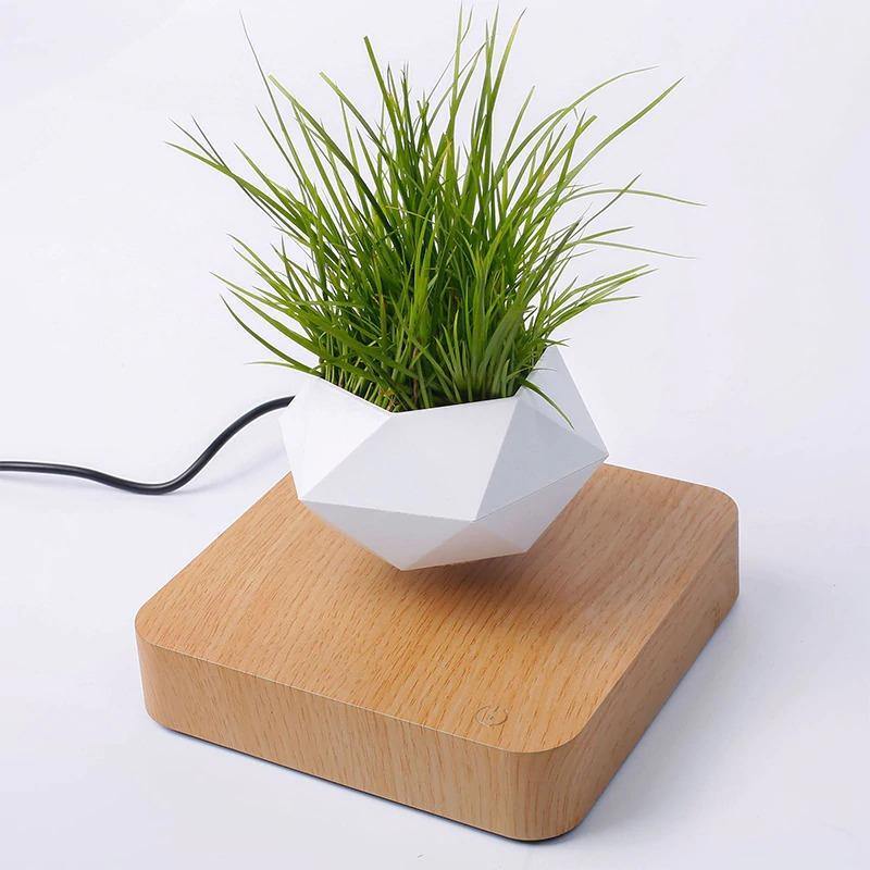 Magnetic Levitating Planter